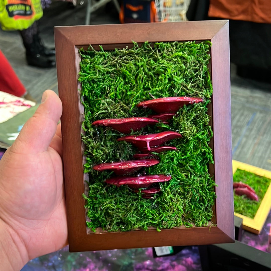 Mushroom Art
